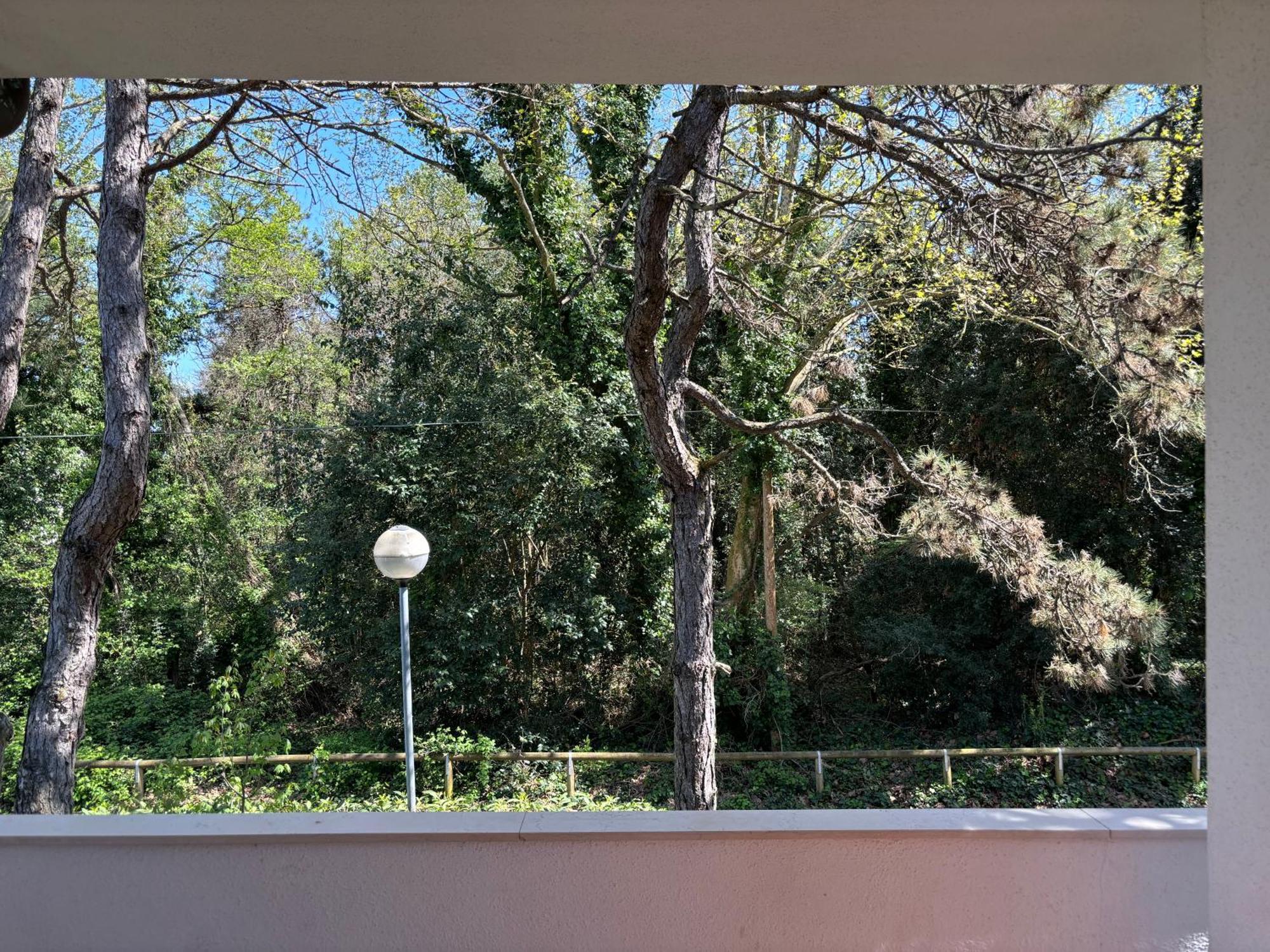 Giorgio 2 Mare E Pineta Apartment Bibione